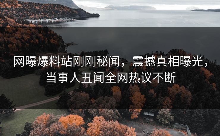 网曝爆料站刚刚秘闻，震撼真相曝光，当事人丑闻全网热议不断