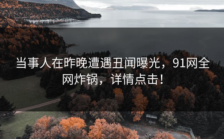 当事人在昨晚遭遇丑闻曝光，91网全网炸锅，详情点击！