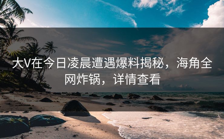 大V在今日凌晨遭遇爆料揭秘，海角全网炸锅，详情查看