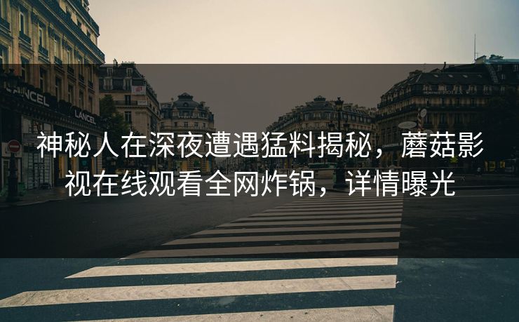 神秘人在深夜遭遇猛料揭秘，蘑菇影视在线观看全网炸锅，详情曝光