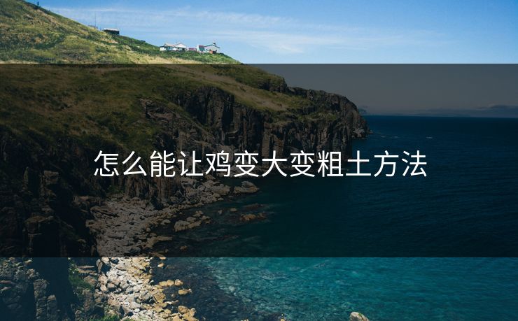 怎么能让鸡变大变粗土方法