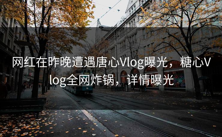 网红在昨晚遭遇唐心Vlog曝光，糖心Vlog全网炸锅，详情曝光