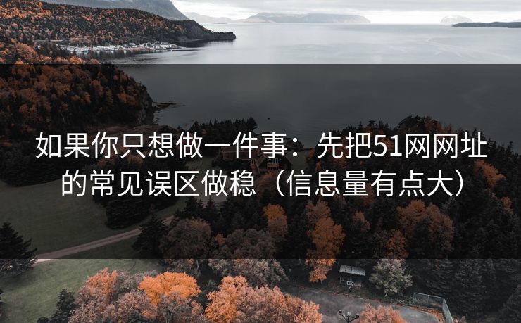 如果你只想做一件事：先把51网网址的常见误区做稳（信息量有点大）