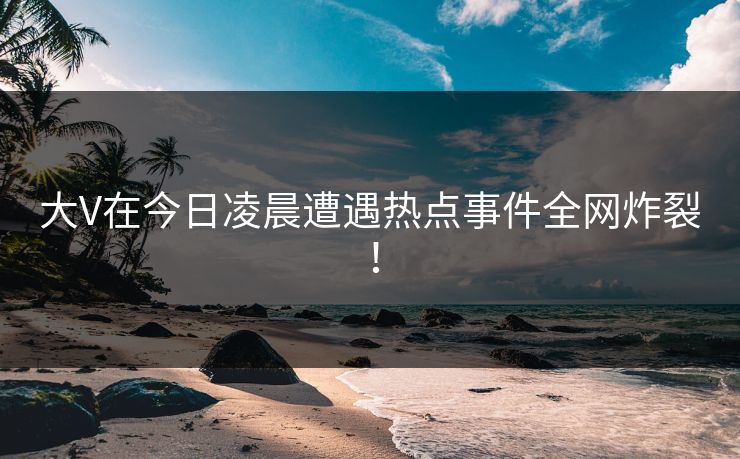 大V在今日凌晨遭遇热点事件全网炸裂！