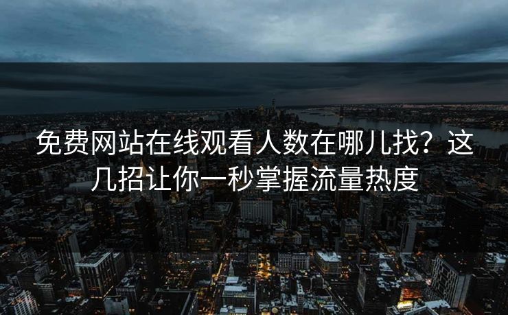 免费网站在线观看人数在哪儿找？这几招让你一秒掌握流量热度