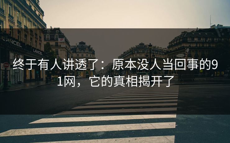终于有人讲透了：原本没人当回事的91网，它的真相揭开了